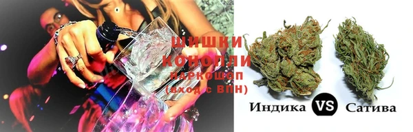 PSILOCYBIN Богородицк