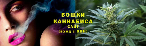PSILOCYBIN Богородицк