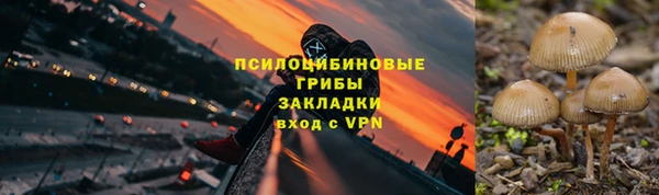 PSILOCYBIN Богородицк