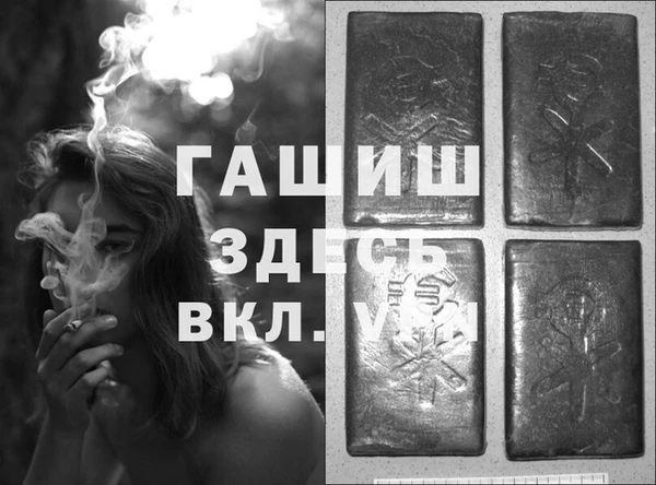 PSILOCYBIN Богородицк