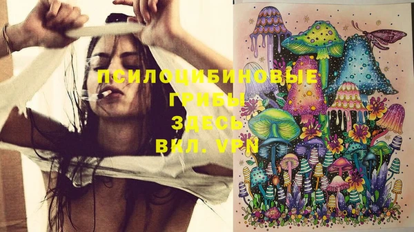 таблы Богданович