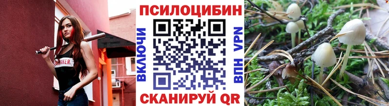 kraken зеркало купить наркоту Черемхово Галлюциногенные грибы Cubensis